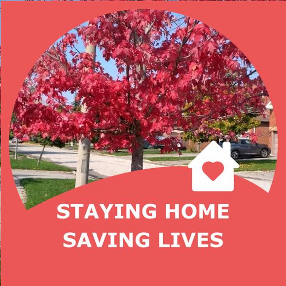 Meet your Posher, Rubina - Picture 1 of 1